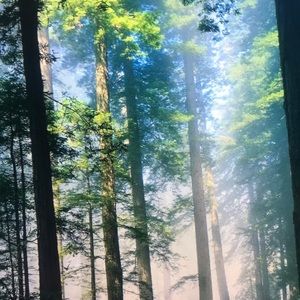 Meet your Posher, Melody